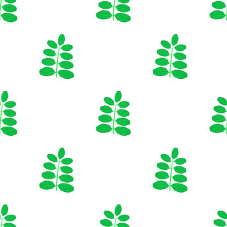 Acacia leaf pattern seamless background texture repeat wallpaper geometric vectorのイラスト素材