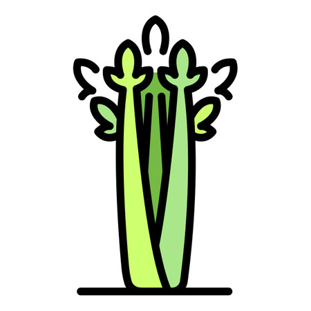 Herb celery icon. Outline herb celery vector icon color flat isolatedのイラスト素材