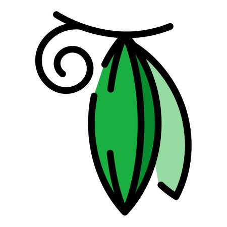 Whole peas icon. Outline whole peas vector icon color flat isolatedのイラスト素材