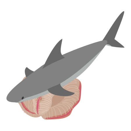 Underwater world icon isometric vector. Big gray shark and beautiful coral reef. Marine environment, sea animalのイラスト素材