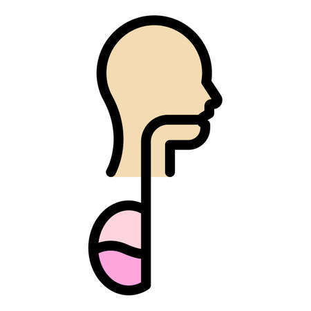 Human digestion icon. Outline human digestion vector icon color flat isolatedのイラスト素材