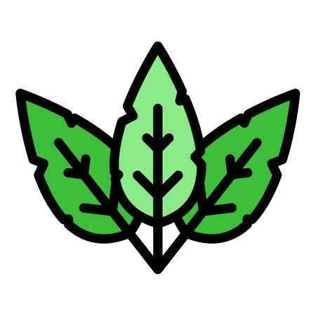 Basil delicious icon. Outline basil delicious vector icon color flat isolatedのイラスト素材