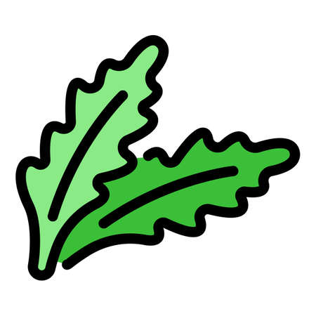 Food arugula icon. Outline food arugula vector icon color flat isolatedのイラスト素材