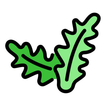 Herb arugula icon. Outline herb arugula vector icon color flat isolatedのイラスト素材