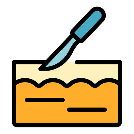 Scalpel skin correction icon. Outline scalpel skin correction vector icon color flat isolatedのイラスト素材