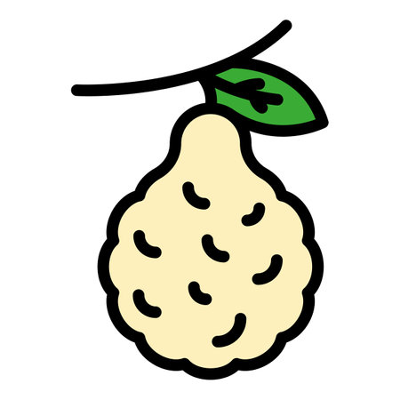 Botanical bergamot icon. Outline botanical bergamot vector icon color flat isolatedのイラスト素材