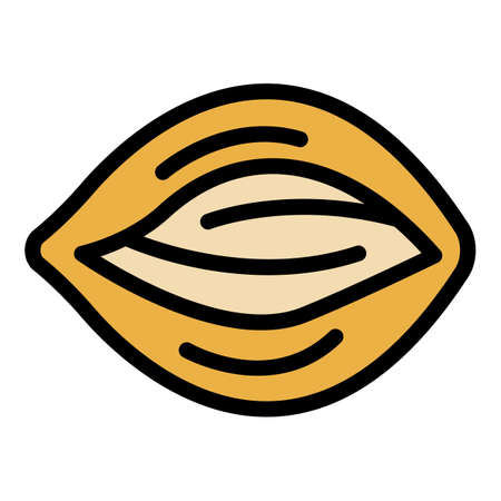 Jojoba berry icon. Outline jojoba berry vector icon color flat isolatedのイラスト素材
