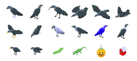 Raven icons set isometric vector. Animal bird. Dark featherのイラスト素材