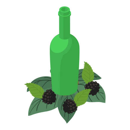 Blackberry drink icon isometric vector. Green glass bottle and blackberry icon. Natural ingredient, berry tinctureのイラスト素材