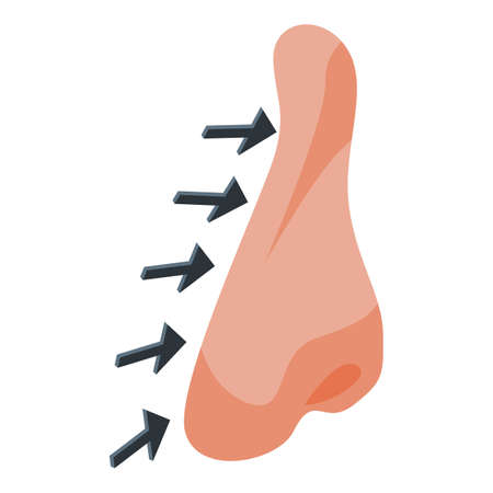 Nose rhinoplasty icon isometric vector. Surgery side. After operationのイラスト素材