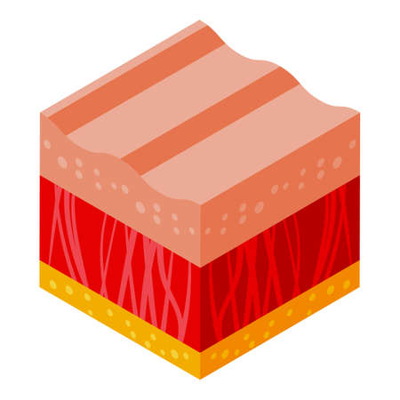Healthy skin icon isometric vector. Molecule cell. Age proteinのイラスト素材