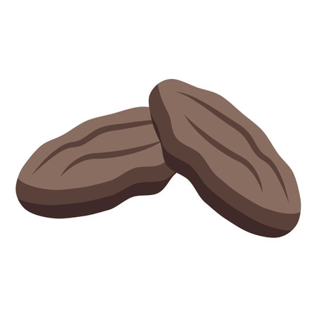 Snack fruit icon isometric vector. Dry food. Organic freshのイラスト素材