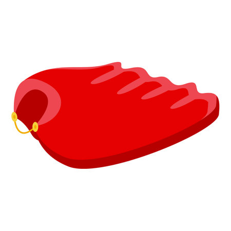 Red mantle icon isometric vector. Cloak cape. Super clothのイラスト素材