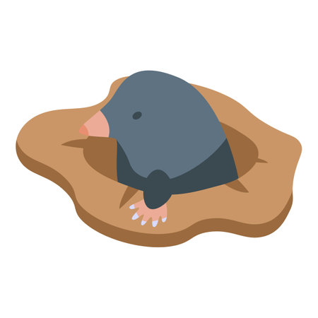 Soil mole icon isometric vector. Hole animal. Ground characterのイラスト素材