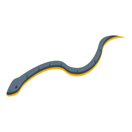 Desert snake icon isometric vector. Reptile animal. Serpent natureのイラスト素材