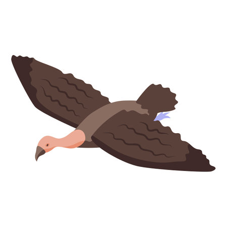 Flying griffin icon isometric vector. Vulture bird. Mascot griffonのイラスト素材