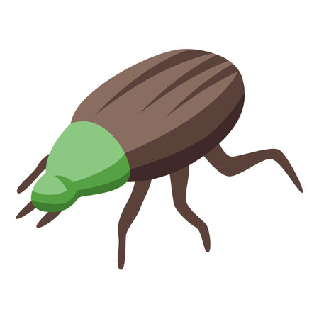 Field bug icon isometric vector. Field insect. Garden bugのイラスト素材