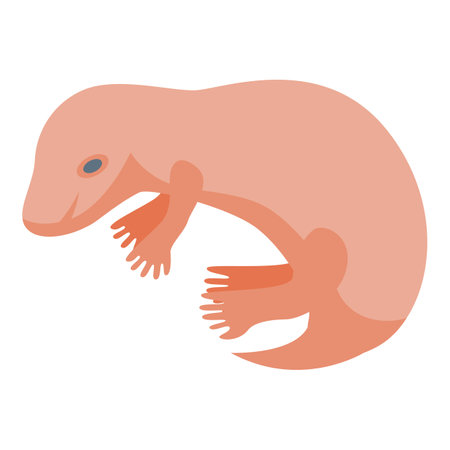 Newborn shrew icon isometric vector. African animal. Nature mammalのイラスト素材