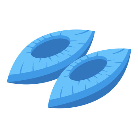 Shoe protection icon isometric vector. Medical cover. Boot plasticのイラスト素材