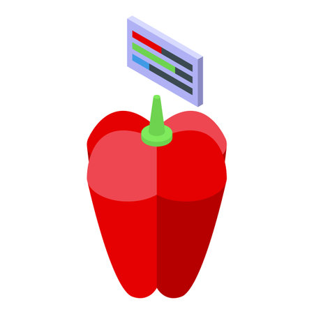 Vegetables diet icon isometric vector. Digital sport. Watch planのイラスト素材