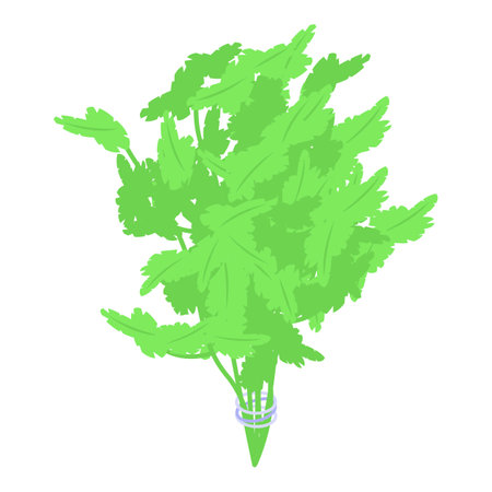 Eco parsley icon isometric vector. Nature food. Natural herbのイラスト素材