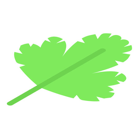 Parsley leaf icon isometric vector. Plant food. Nature vegetableのイラスト素材