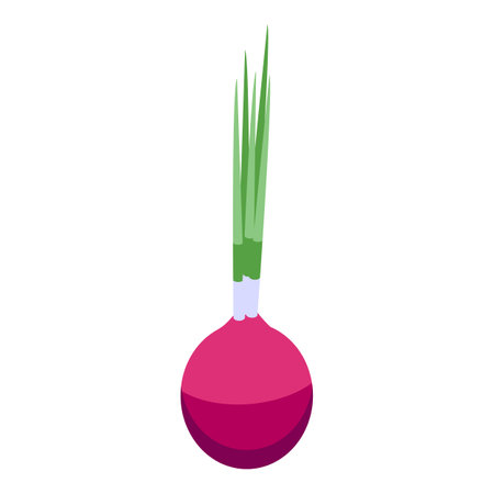 Garden chives icon isometric vector. Food nature. Cooking plantのイラスト素材