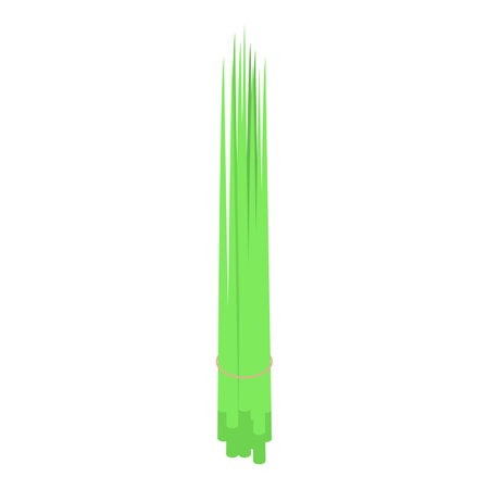 Chives bunch icon isometric vector. Fresh onion. Agriculture plantのイラスト素材