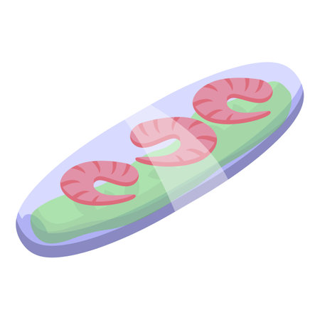 Shrimp food icon isometric vector. Meal dinner. Spring rollのイラスト素材