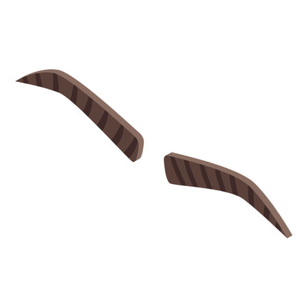 Eyebrow correction icon isometric vector. Eye makeup. Facial tintingのイラスト素材