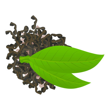 Green tea icon isometric vector. Fresh green and dried leaf of tea bush icon. Product, beverage ingredientのイラスト素材