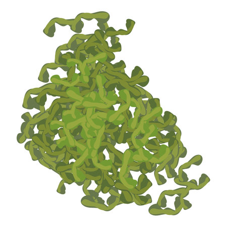 Laminaria dried icon isometric vector. Genus of seaweed from brown algae class. Environment, underwater world, algologyのイラスト素材