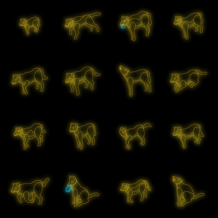 Wolf icons set. Isometric set of wolf vector icons neon color on blackのイラスト素材
