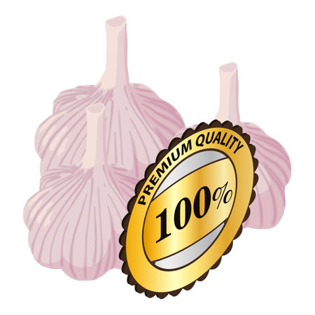 Organic garlic icon isometric vector. Fresh garlic near premium quality sign. Quality concept, food, organic productのイラスト素材