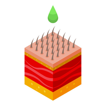 Man skin care drop icon isometric vector. Men face. Mask acneのイラスト素材