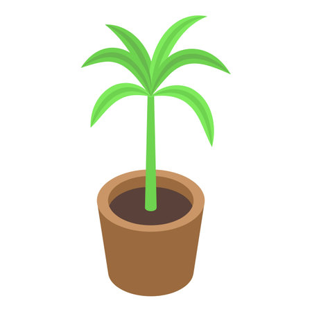 Small palm potted icon isometric vector. Tree decoration. Botany plantのイラスト素材