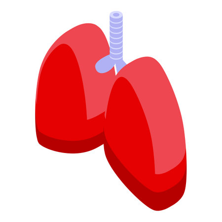 Detailed 3d medical illustration of human lungs, respiratory system anatomy, and pulmonary health on a clean white background for scientific education and healthcare concept visualizationのイラスト素材