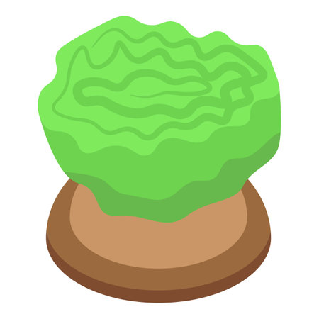 Fresh green lettuce growing on hydroponic farm, agrotechnology conceptのイラスト素材