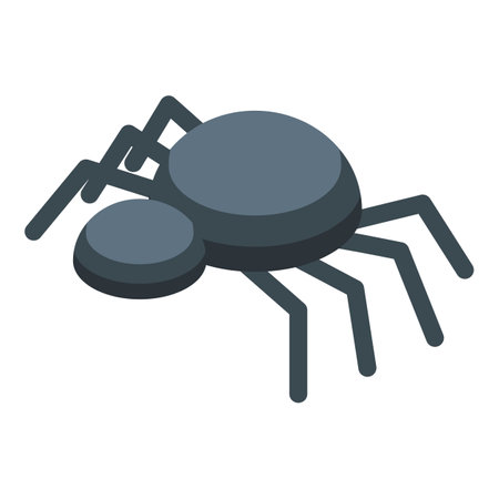 Black widow spider crawling in an isometric viewのイラスト素材