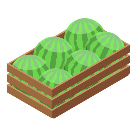 Wooden crate full of ripe watermelons, an isometric view of summer fruits ready for saleのイラスト素材