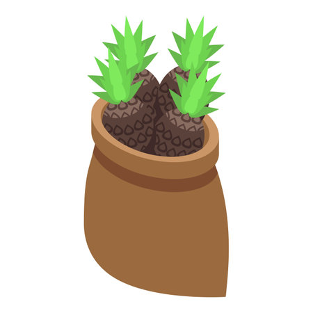 Burlap sack filled with ripe pineapples, fresh from the fieldのイラスト素材