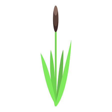 Minimalist vector illustration featuring a single green bulrush growing in a wetland areaのイラスト素材