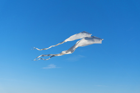 Two white kites flying high in the blue skyの写真素材
