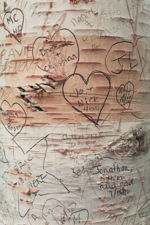 Love messages on the trees in Lover's Lane, Green Gables Heritage Place, home of the famous writer Lucy Maud Montgomery, author of Anne of Green Gablesの写真素材