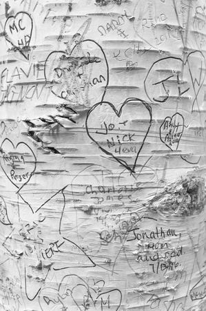 Love messages on the trees in Lover's Lane, Green Gables Heritage Place, home of the famous writer Lucy Maud Montgomery, author of Anne of Green Gablesの写真素材