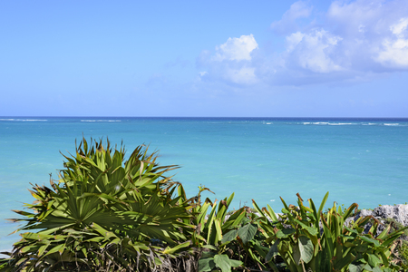 the Caribbean Sea beach under blue sky in Tulum, Yucatan Peninsula, Mexico, green tropical plant foreground, text copy spaceの写真素材