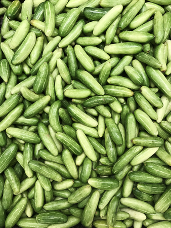 Green tindora vegetable pile backgroundの写真素材