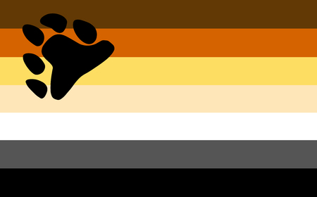 Gay bear pride flag. LGBT community flag.のイラスト素材