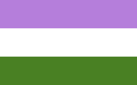 Genderqueer pride flag. LGBT community flag.のイラスト素材