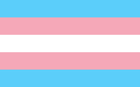 Transgender pride flag in vector format. LGBT community flag.のイラスト素材
